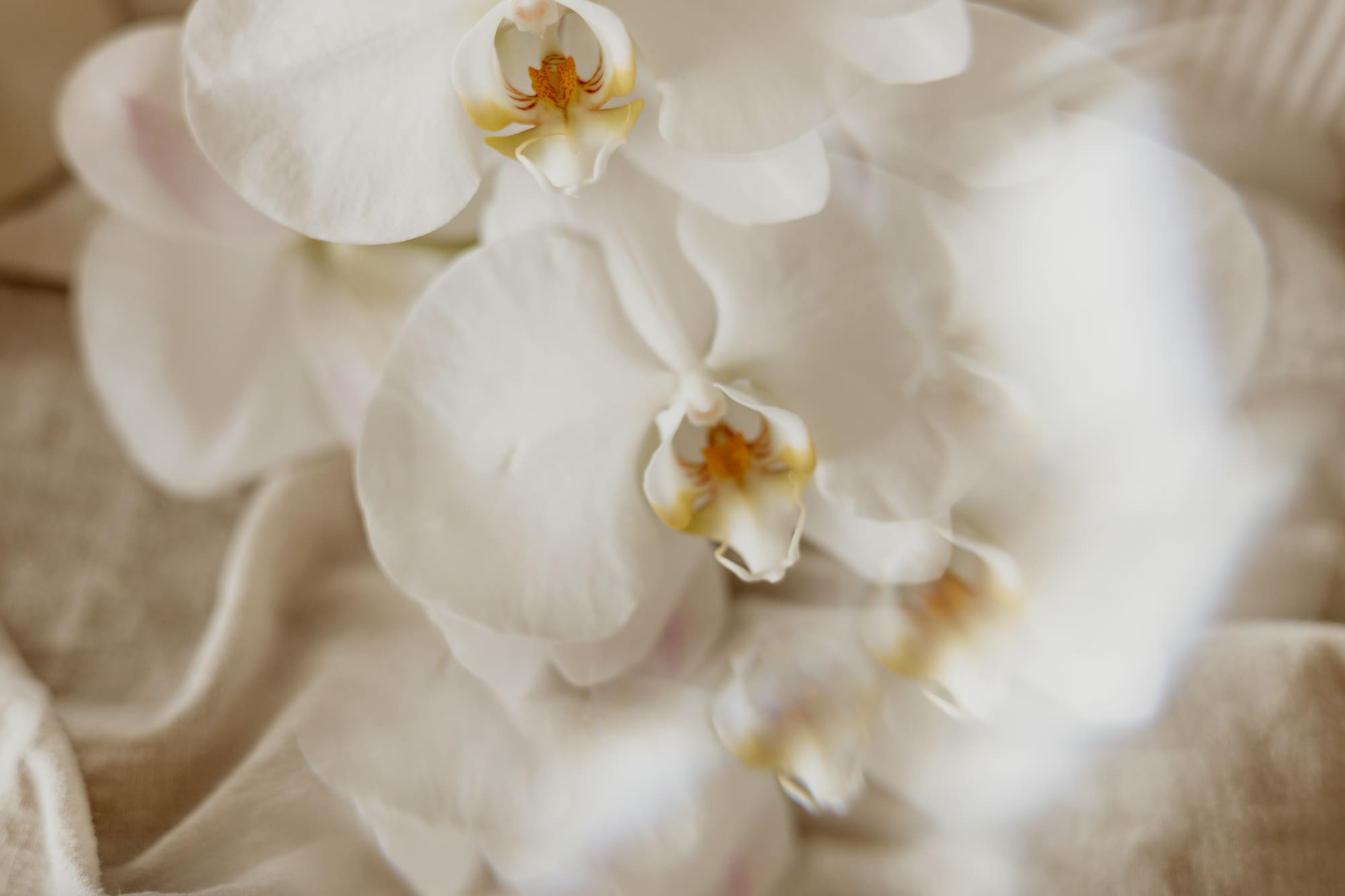 Second Shooter werden in Köln